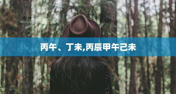 丙午、丁未,丙辰甲午己未