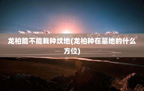 龙柏能不能栽种坟地(龙柏种在墓地的什么方位)