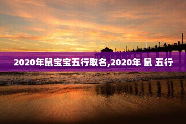 2020年鼠宝宝五行取名,2020年 鼠 五行
