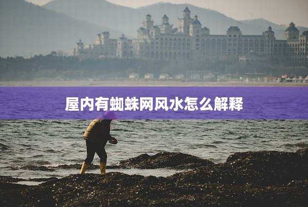 屋内有蜘蛛网风水怎么解释