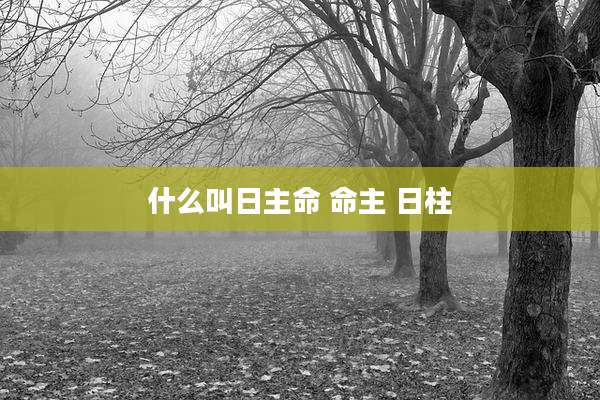 什么叫日主命 命主 日柱