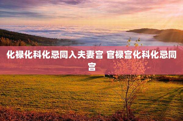 化禄化科化忌同入夫妻宫 官禄宫化科化忌同宫