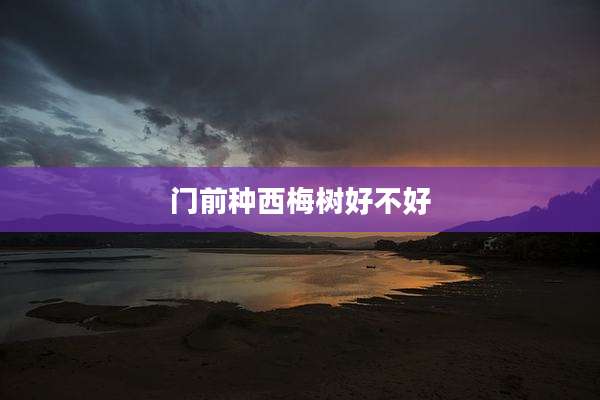 门前种西梅树好不好