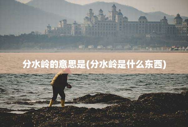 分水岭的意思是(分水岭是什么东西)
