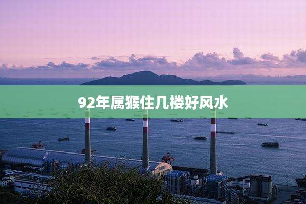 92年属猴住几楼好风水