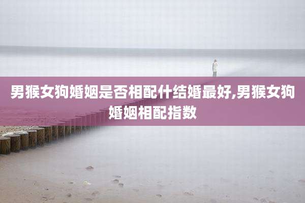 男猴女狗婚姻是否相配什结婚最好,男猴女狗婚姻相配指数