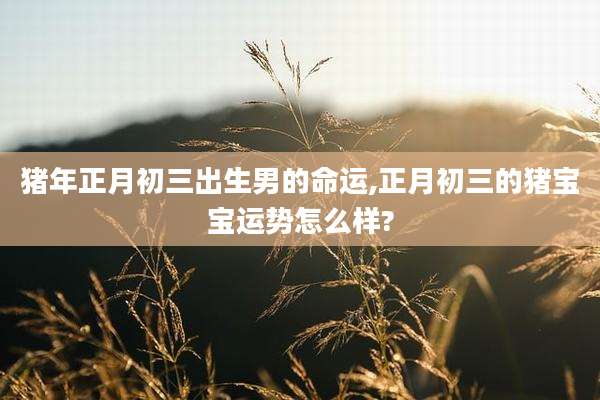 猪年正月初三出生男的命运,正月初三的猪宝宝运势怎么样?