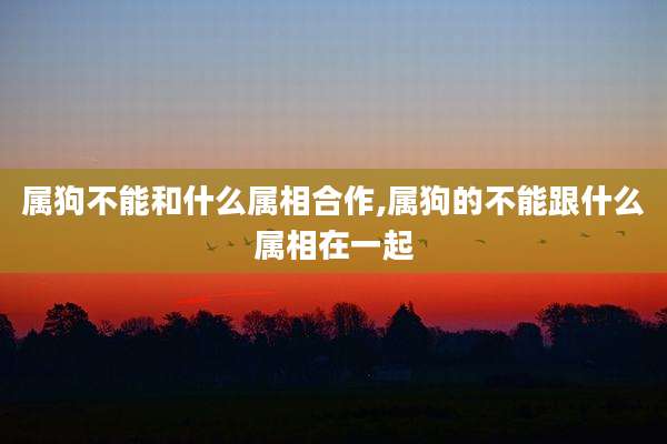 属狗不能和什么属相合作,属狗的不能跟什么属相在一起