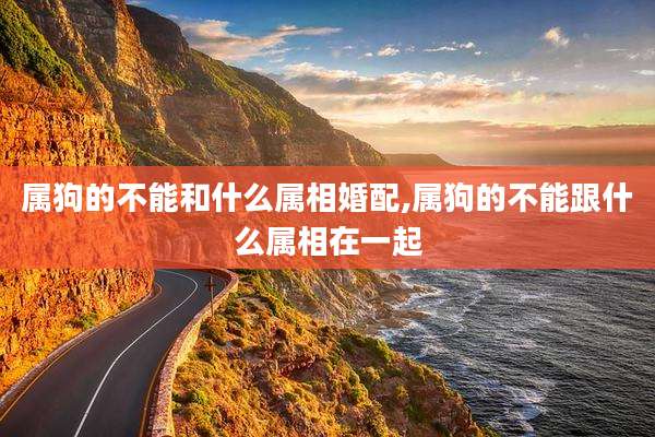 属狗的不能和什么属相婚配,属狗的不能跟什么属相在一起