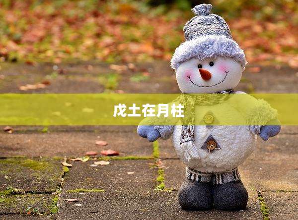 戊土在月柱