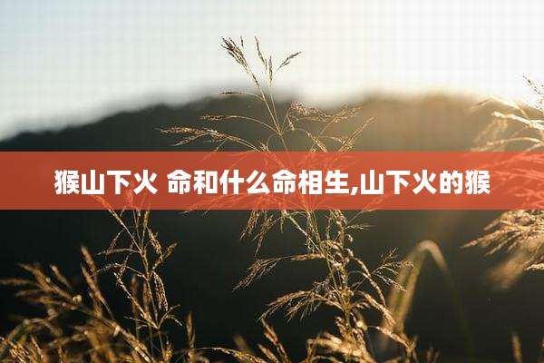 猴山下火 命和什么命相生,山下火的猴