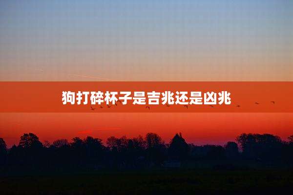 狗打碎杯子是吉兆还是凶兆