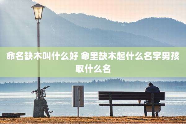 命名缺木叫什么好 命里缺木起什么名字男孩取什么名
