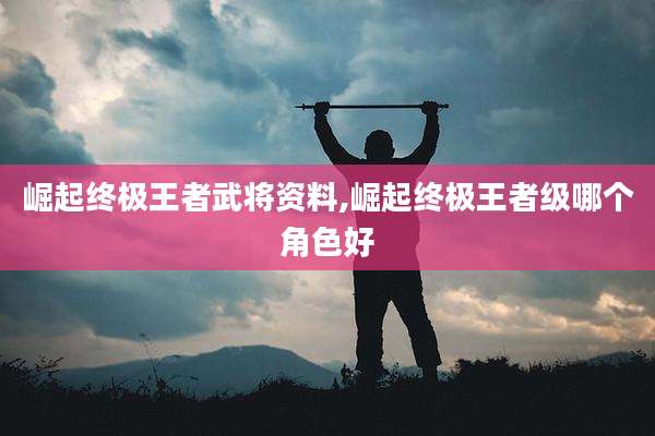 崛起终极王者武将资料,崛起终极王者级哪个角色好