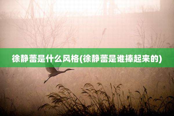 徐静蕾是什么风格(徐静蕾是谁捧起来的)