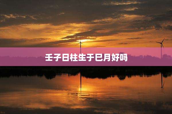 壬子日柱生于巳月好吗