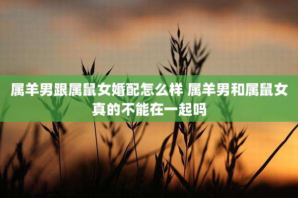 属羊男跟属鼠女婚配怎么样 属羊男和属鼠女真的不能在一起吗