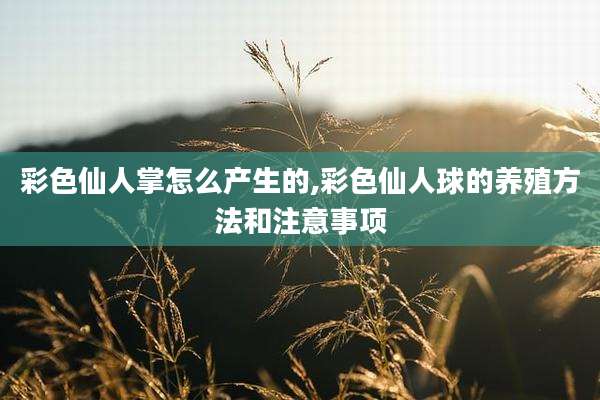 彩色仙人掌怎么产生的,彩色仙人球的养殖方法和注意事项