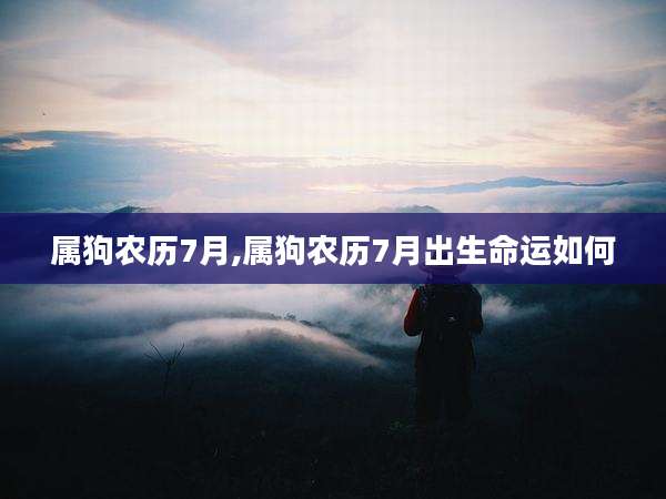 属狗农历7月,属狗农历7月出生命运如何