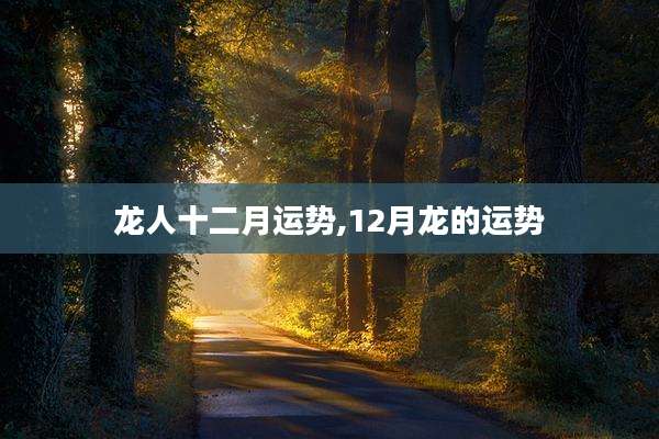 龙人十二月运势,12月龙的运势