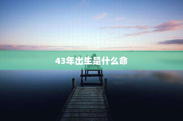43年出生是什么命