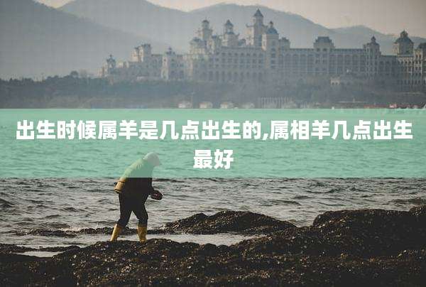 出生时候属羊是几点出生的,属相羊几点出生最好