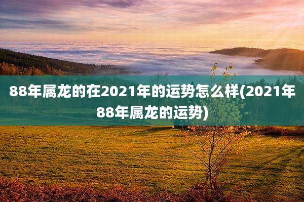 88年属龙的在2021年的运势怎么样(2021年88年属龙的运势)