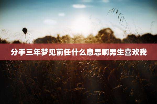 分手三年梦见前任什么意思啊男生喜欢我