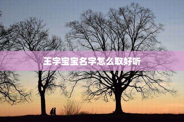 王字宝宝名字怎么取好听