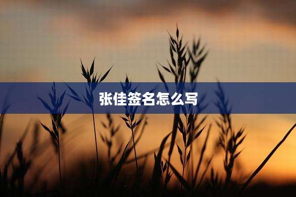 张佳签名怎么写