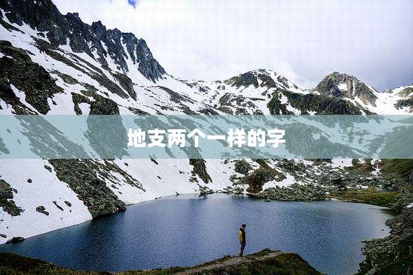 地支两个一样的字