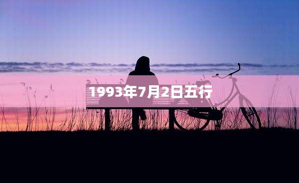 1993年7月2日五行