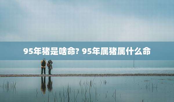 95年猪是啥命? 95年属猪属什么命