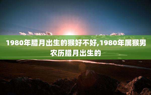 1980年腊月出生的猴好不好,1980年属猴男农历腊月出生的