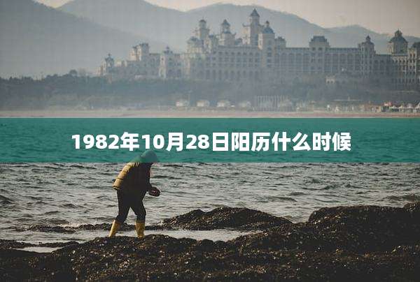 1982年10月28日阳历什么时候