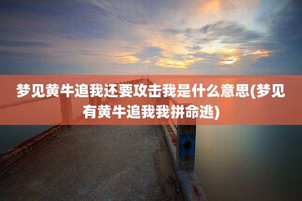 梦见黄牛追我还要攻击我是什么意思(梦见有黄牛追我我拼命逃)