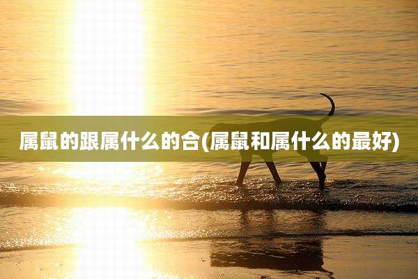 属鼠的跟属什么的合(属鼠和属什么的最好)