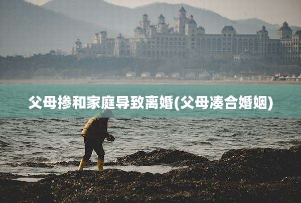 父母掺和家庭导致离婚(父母凑合婚姻)