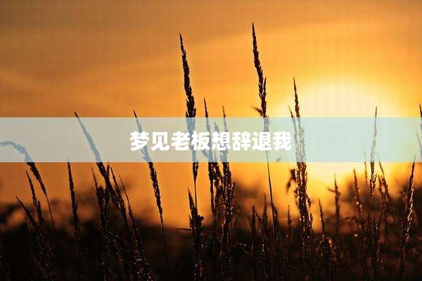 梦见老板想辞退我