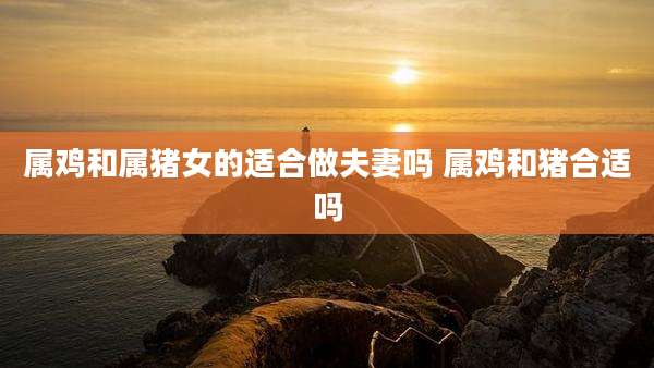 属鸡和属猪女的适合做夫妻吗 属鸡和猪合适吗