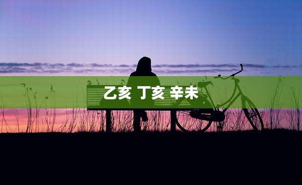 乙亥 丁亥 辛未