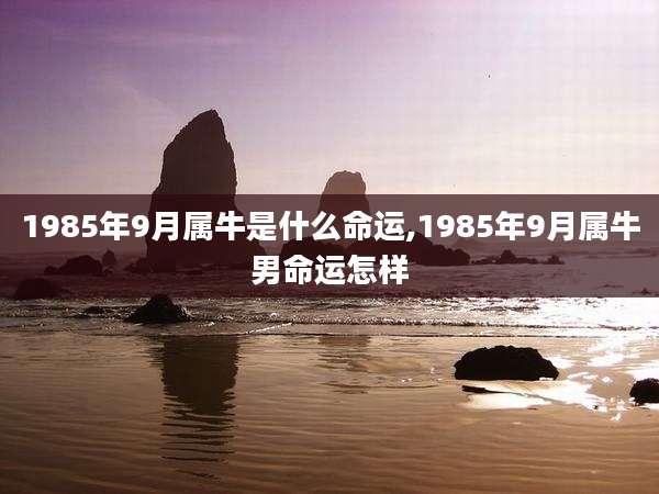 1985年9月属牛是什么命运,1985年9月属牛男命运怎样