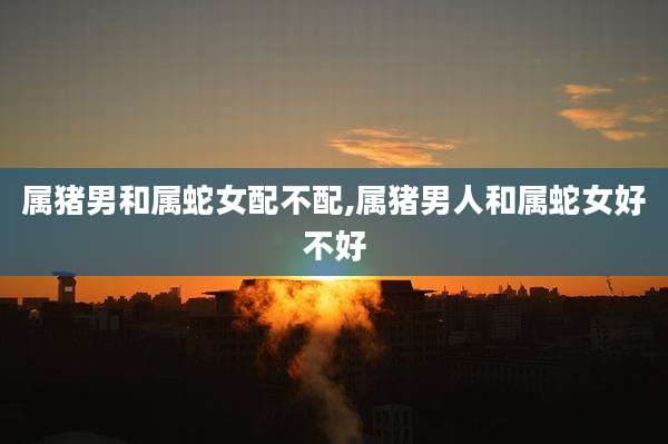 属猪男和属蛇女配不配,属猪男人和属蛇女好不好