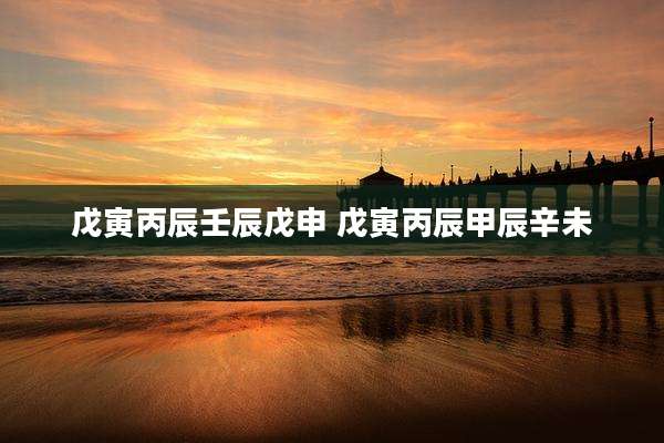 戊寅丙辰壬辰戊申 戊寅丙辰甲辰辛未