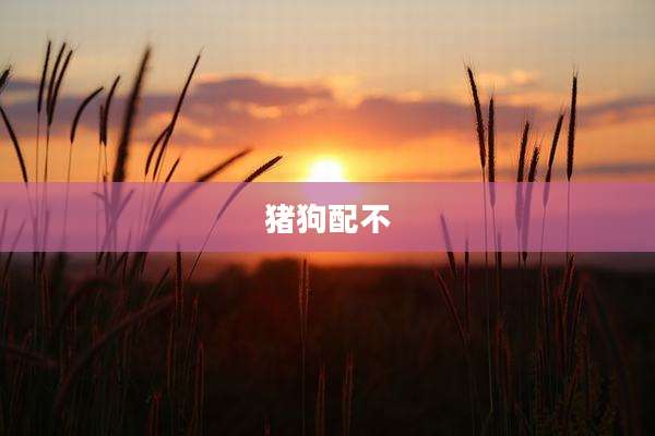 猪狗配不