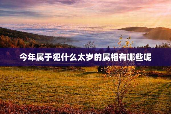 今年属于犯什么太岁的属相有哪些呢