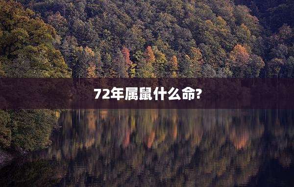 72年属鼠什么命?