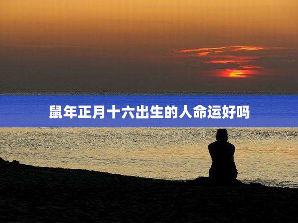 鼠年正月十六出生的人命运好吗
