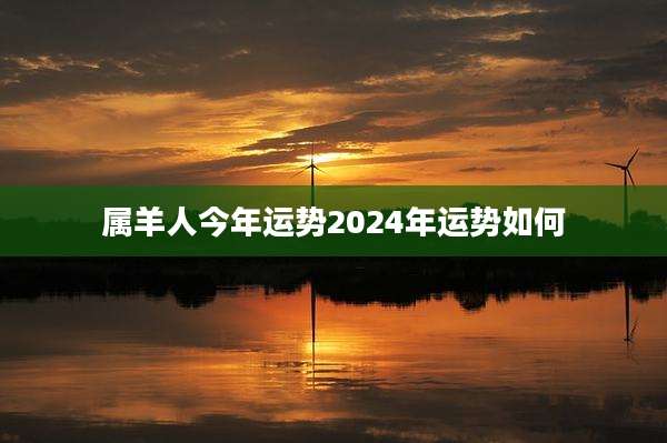属羊人今年运势2024年运势如何