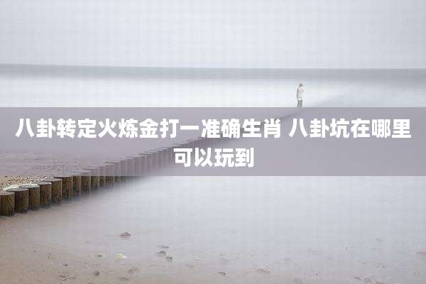 八卦转定火炼金打一准确生肖 八卦坑在哪里可以玩到